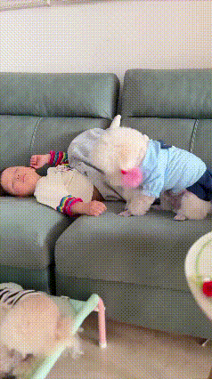 这才是顶配童年！被狗狗带大的娃，看完谁不羡慕😭
 
网友家的狗狗，直接把小主人