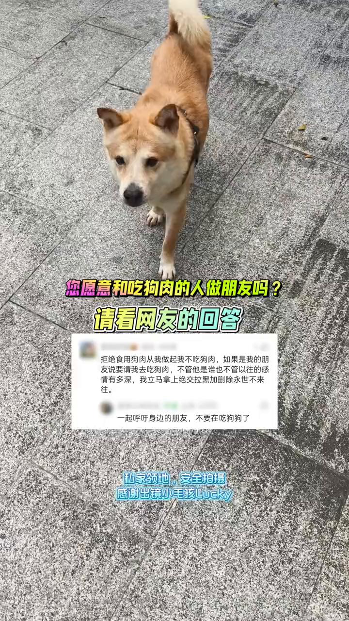 您愿意和吃狗肉的人做朋友吗？请看网友的回答。
拒绝食用狗肉从我做起，我不吃狗肉。