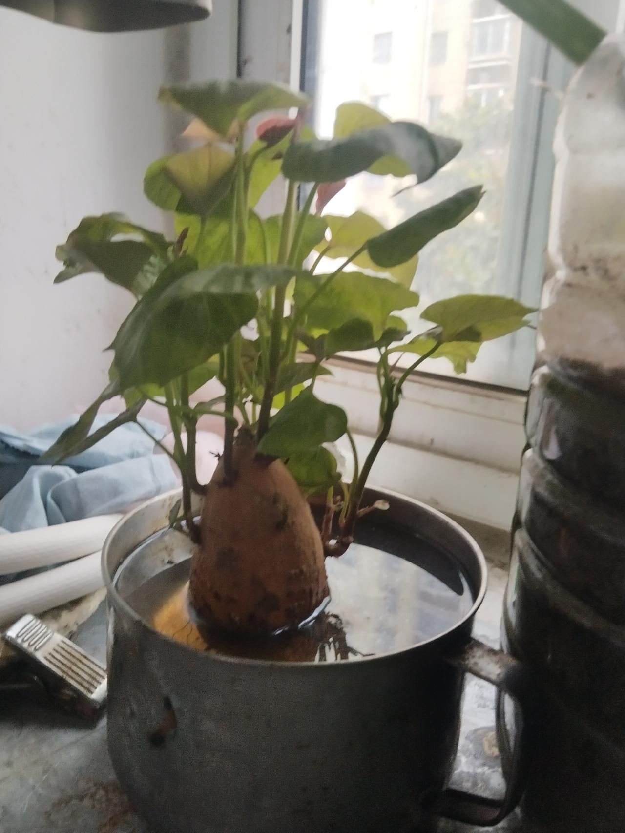 没毛病 但人是群居动物 避免不了 只能注意一下交往方式  共同的爱好  共同的话