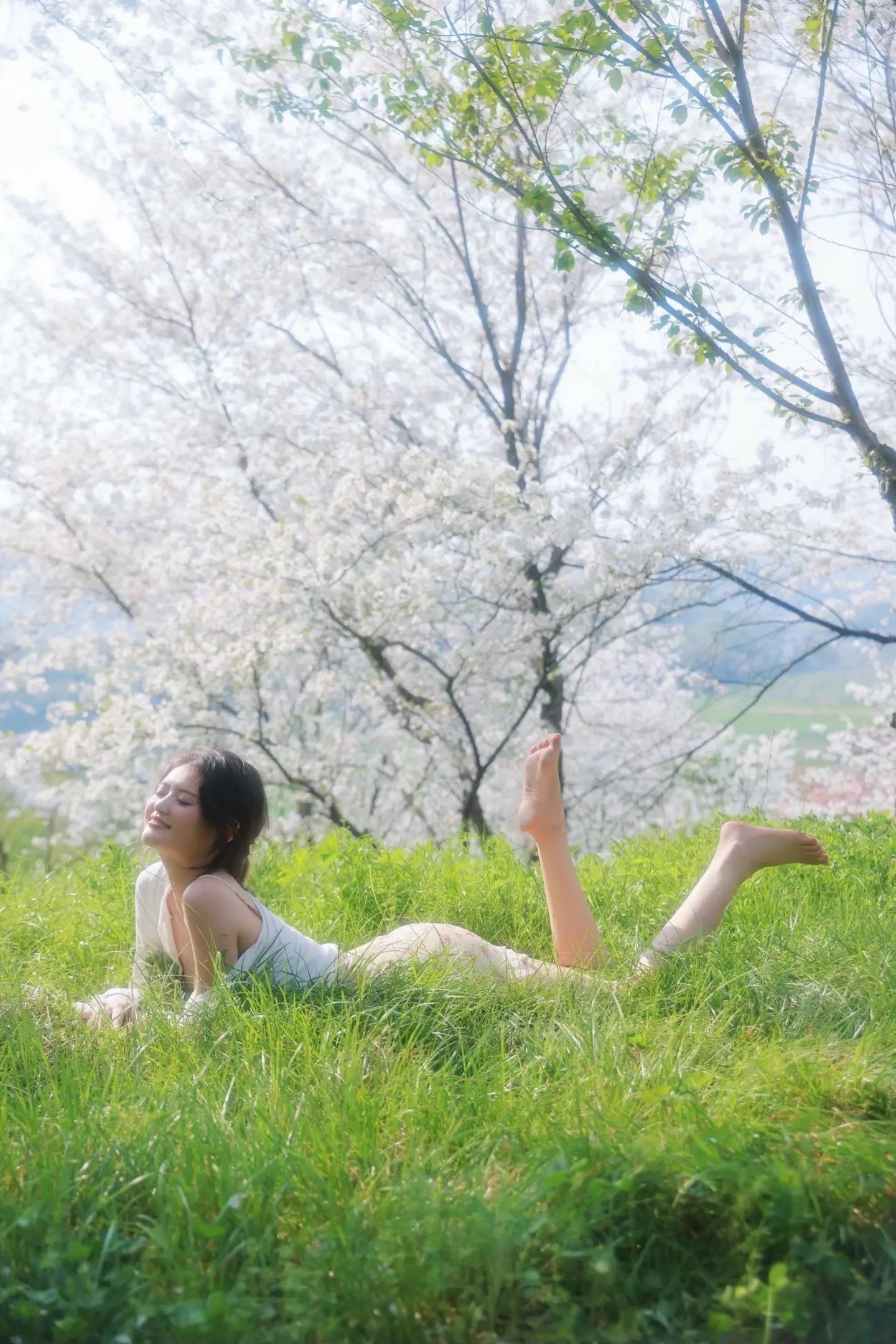 春有约 花不误。