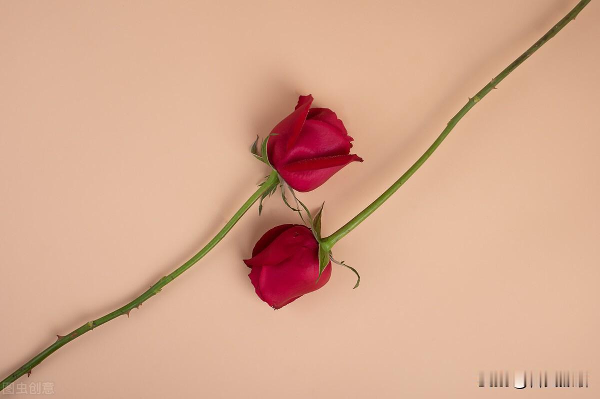 人心善举，最珍贵的是坦诚相待。
 
步入老年，走过半生风雨，渐渐明白，交友不在于