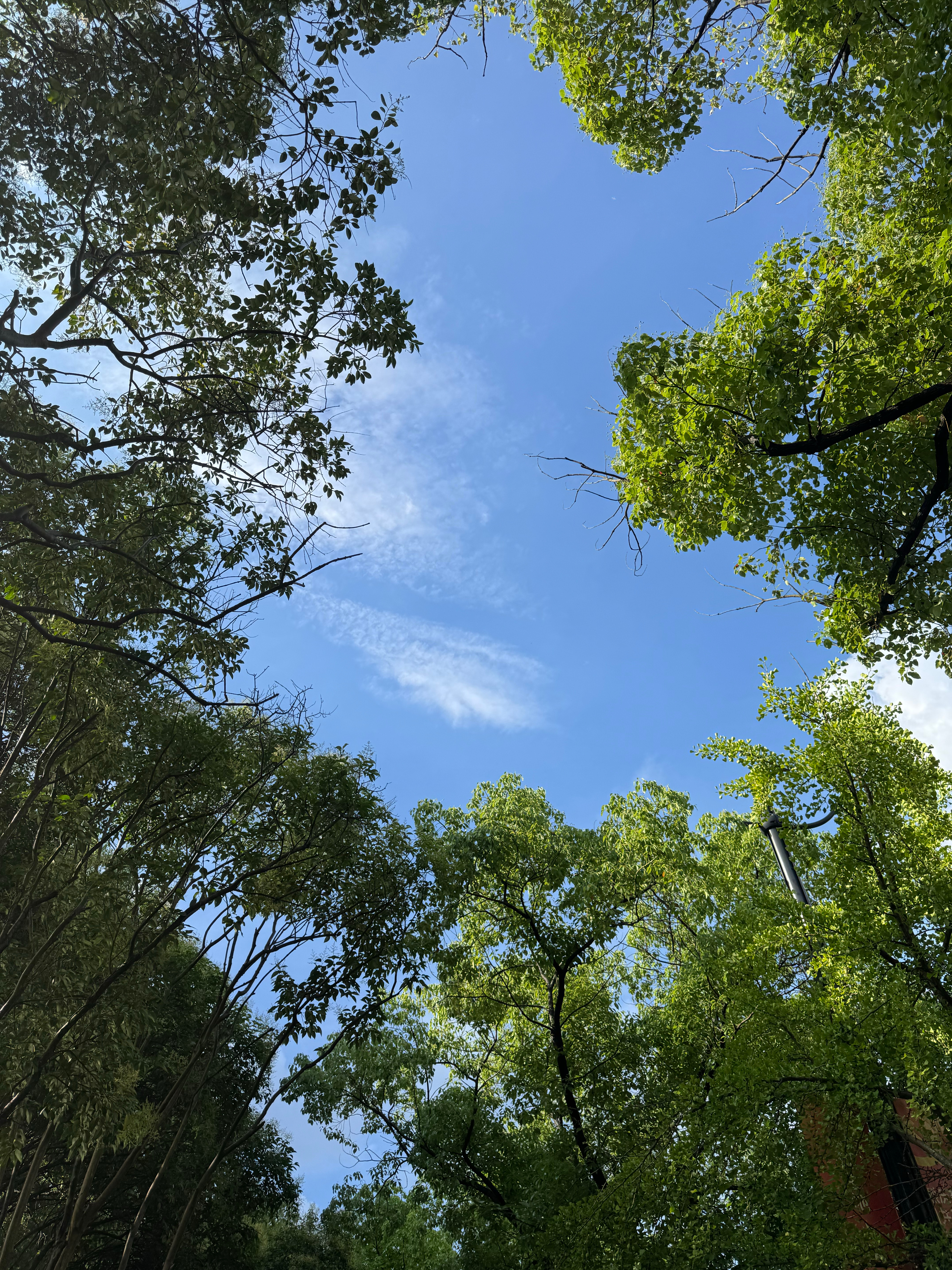雨过天晴☀️ 