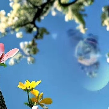 每日一善‎每日一善 ‎阳光‎信用 即使一切看起来都暗淡无光，也要留意那些微弱的光