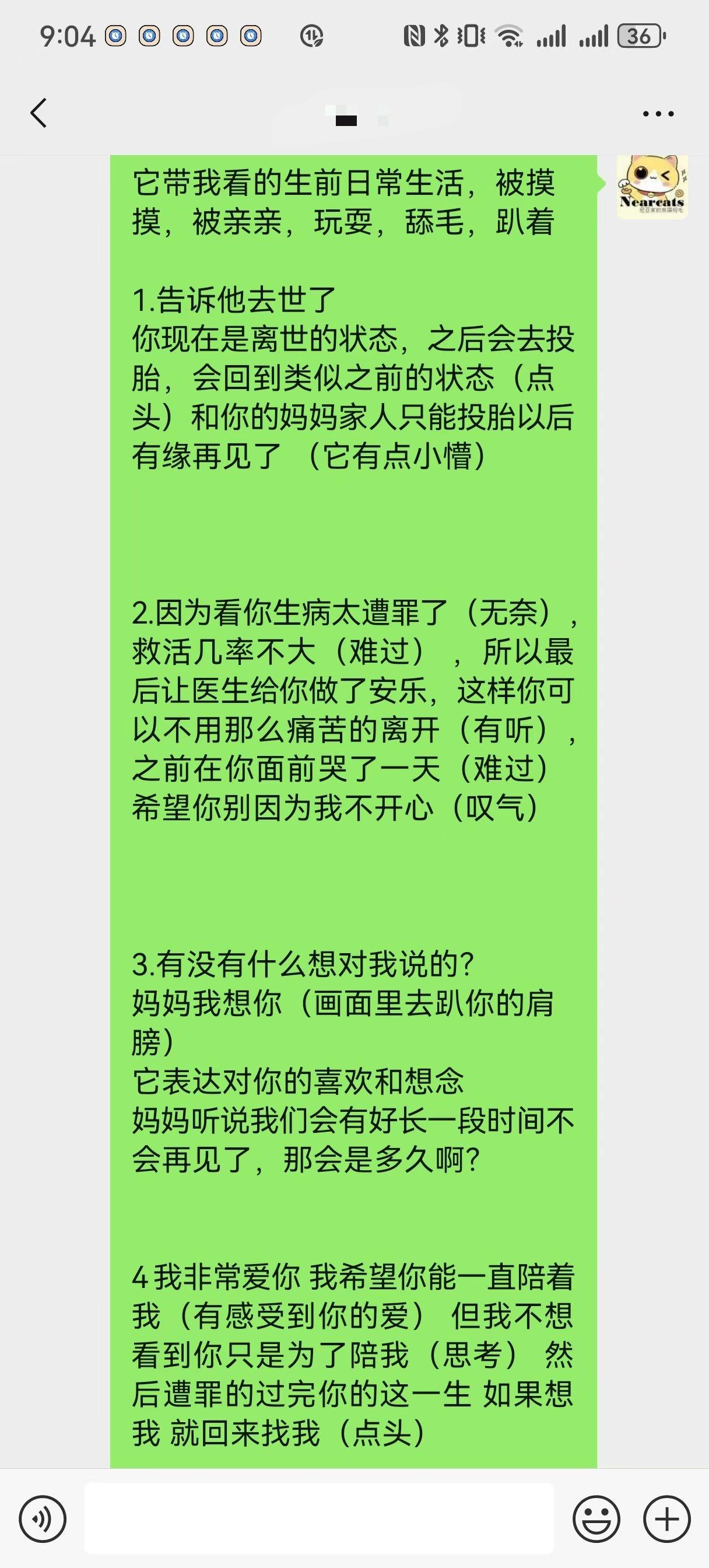 🎃离世宠物沟通。一只情感丰富的小猫咪