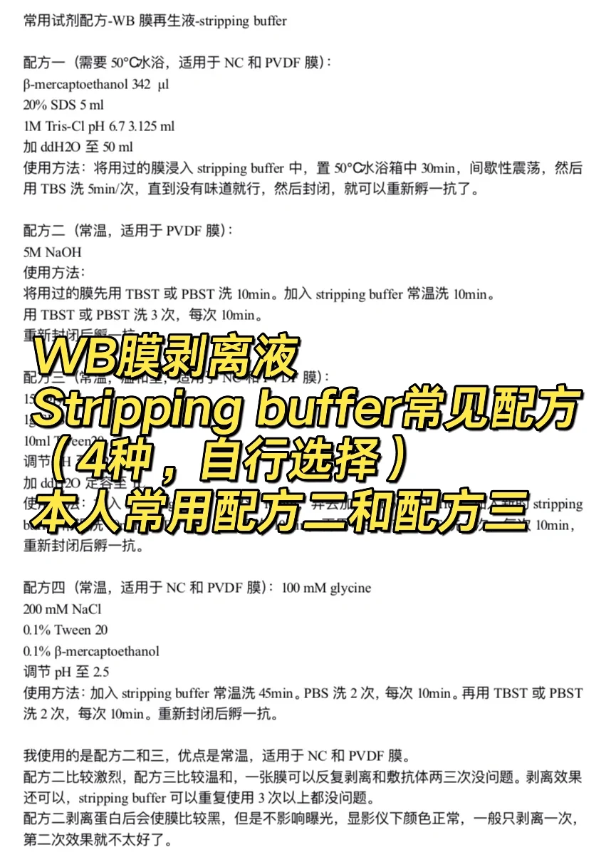 常用试剂配方-stripping buffer