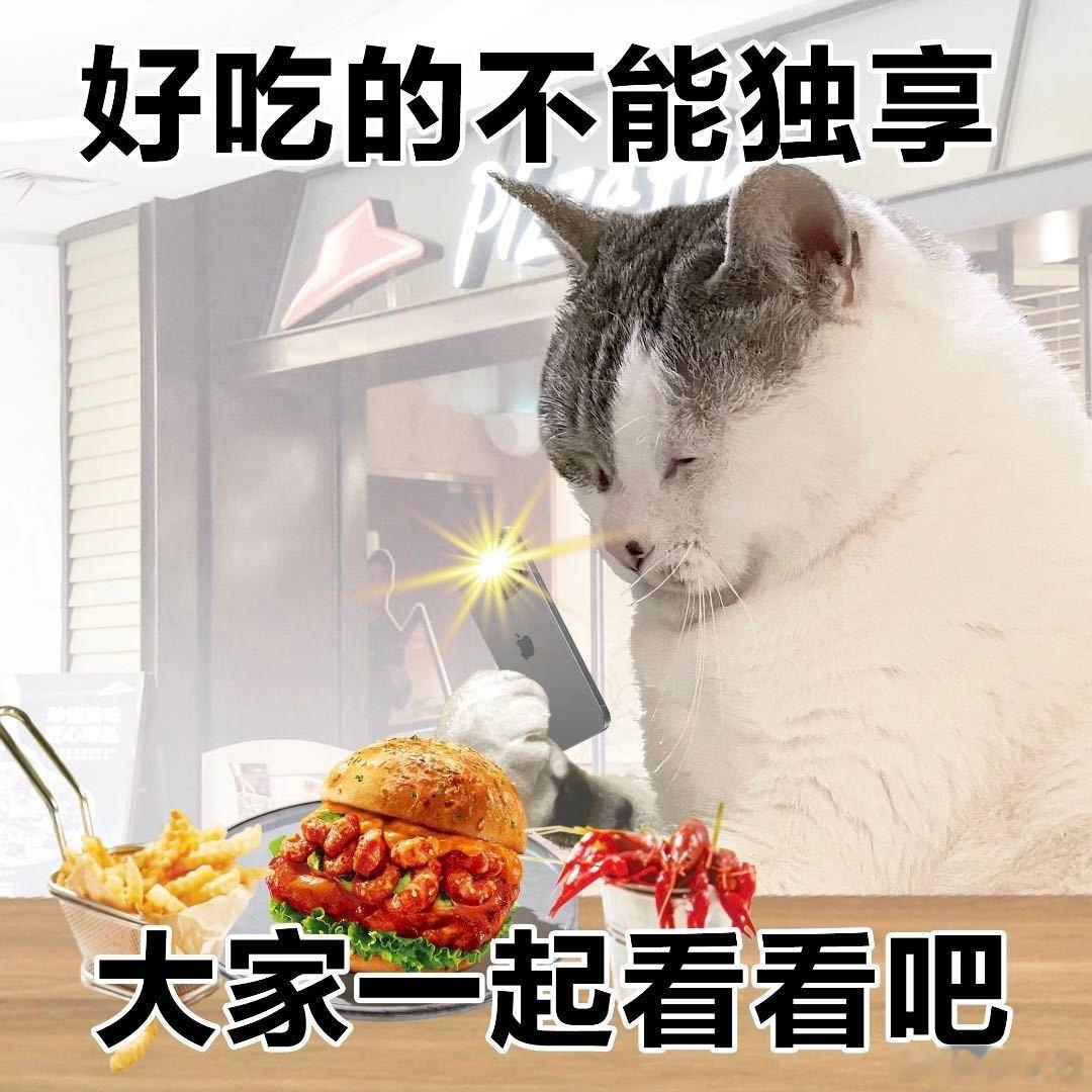 上海已经发展到这个地步了吗见证公共交通的创新升级，上海网约公交让人直呼惊喜。摒弃