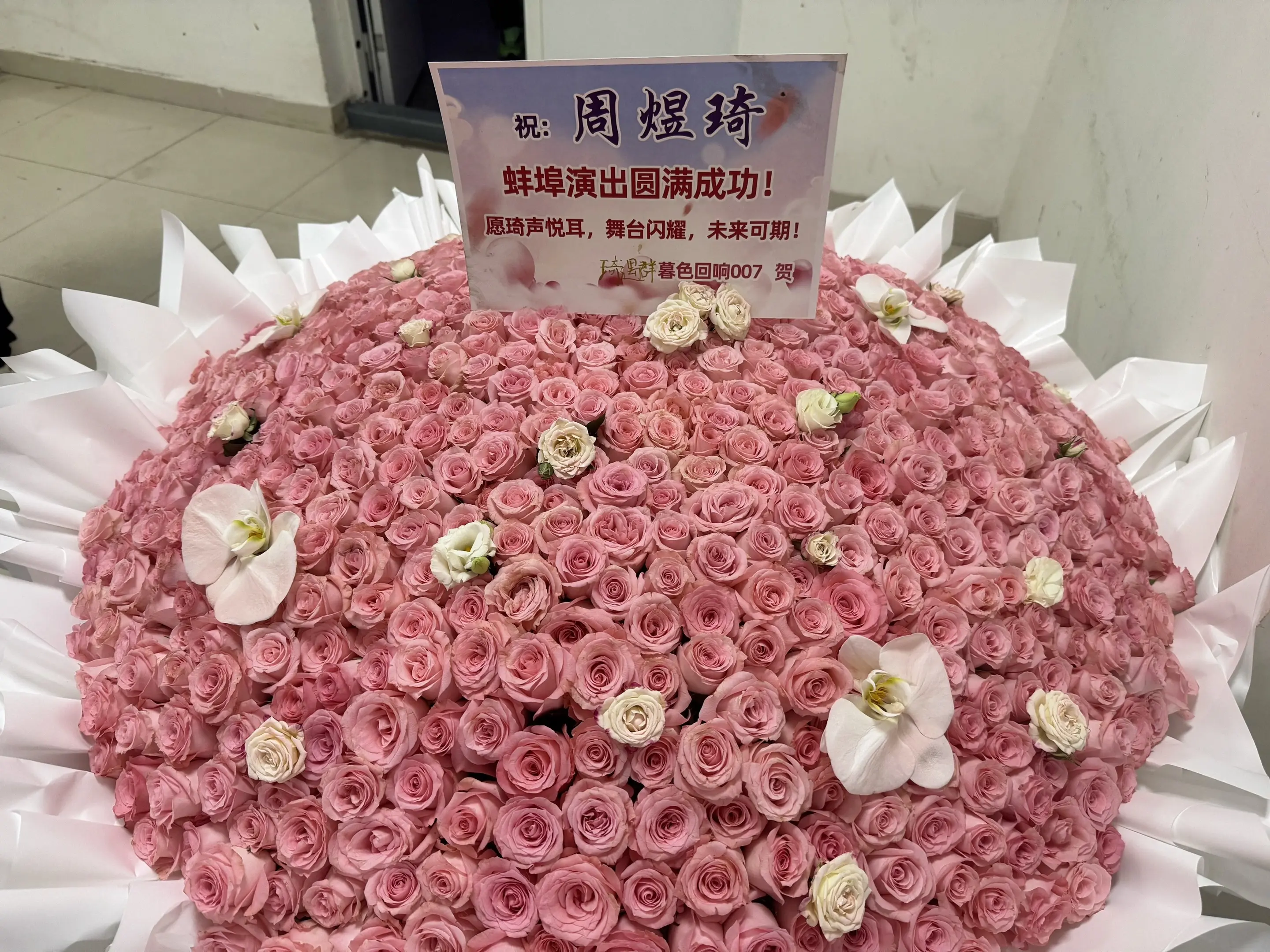 感谢琦遇群的暮色回响007送给琦琦999朵玫瑰预祝琦琦蚌埠演出顺利