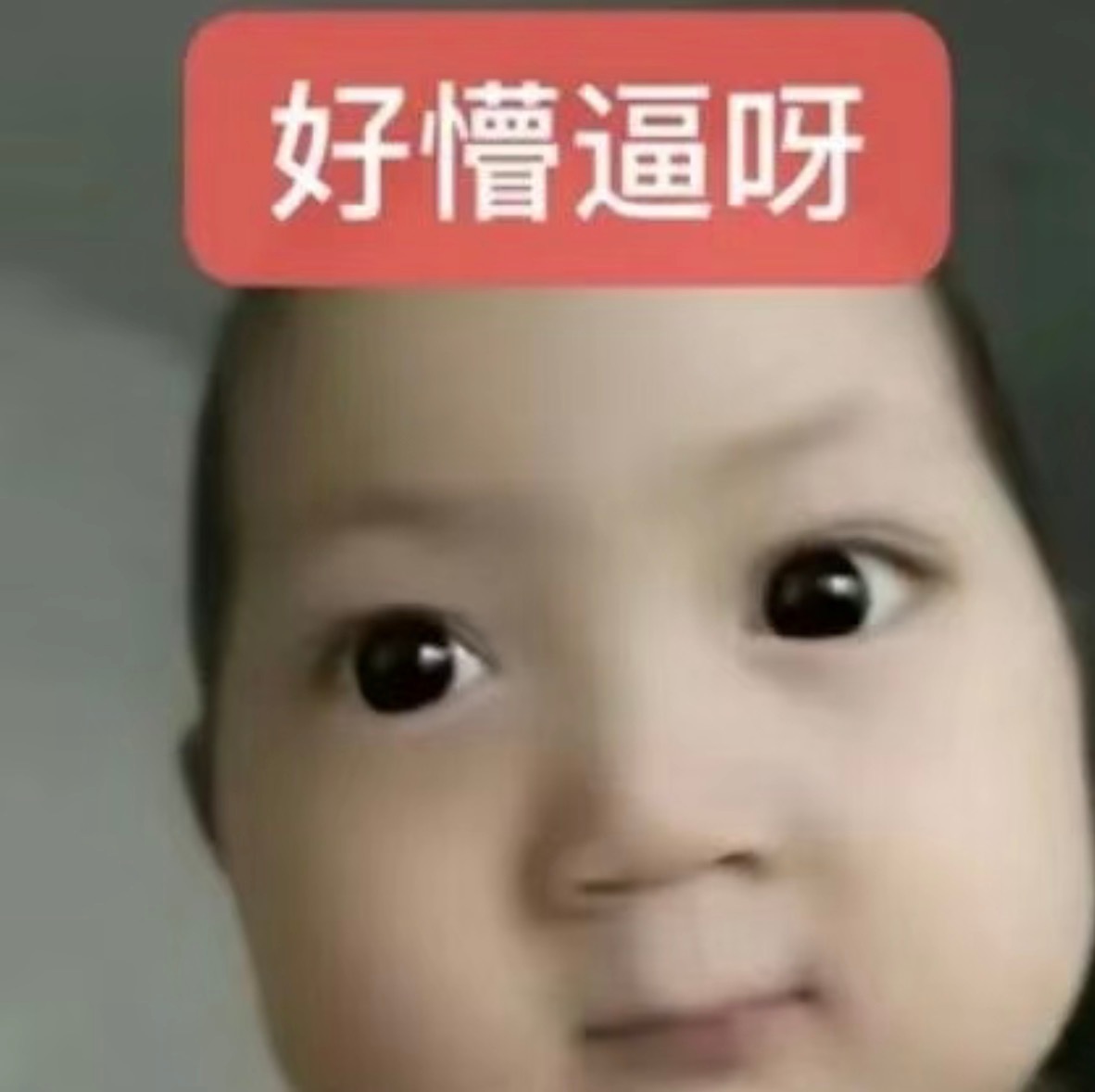 当单坤人很舒服 只是每次发疯都只能去祸害我的圈外朋友 