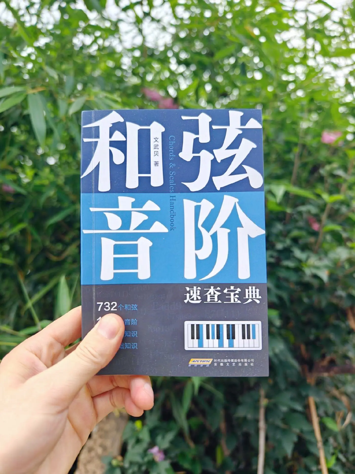 和弦音阶速查宝典