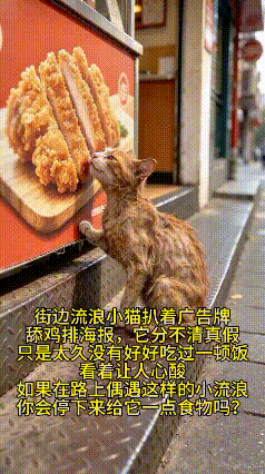 一幕让人心酸破防的画面！
 
街头一只流浪小猫，身形瘦弱不堪，瘦得只剩一把骨头。