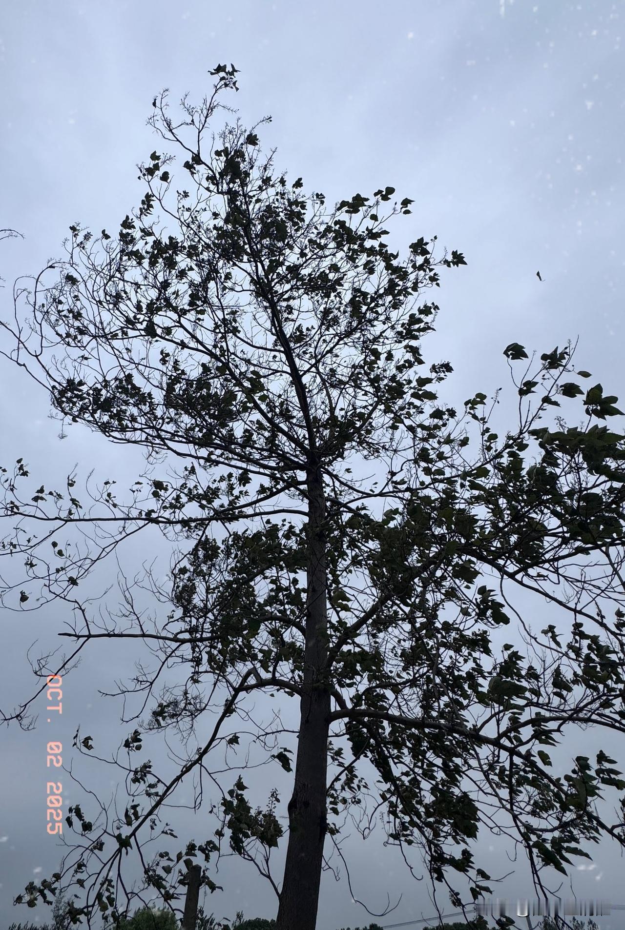 那天，一些事发生的让人莫名其妙
然而
最后还是发生了，你抓耳挠腮的细想
想，问题