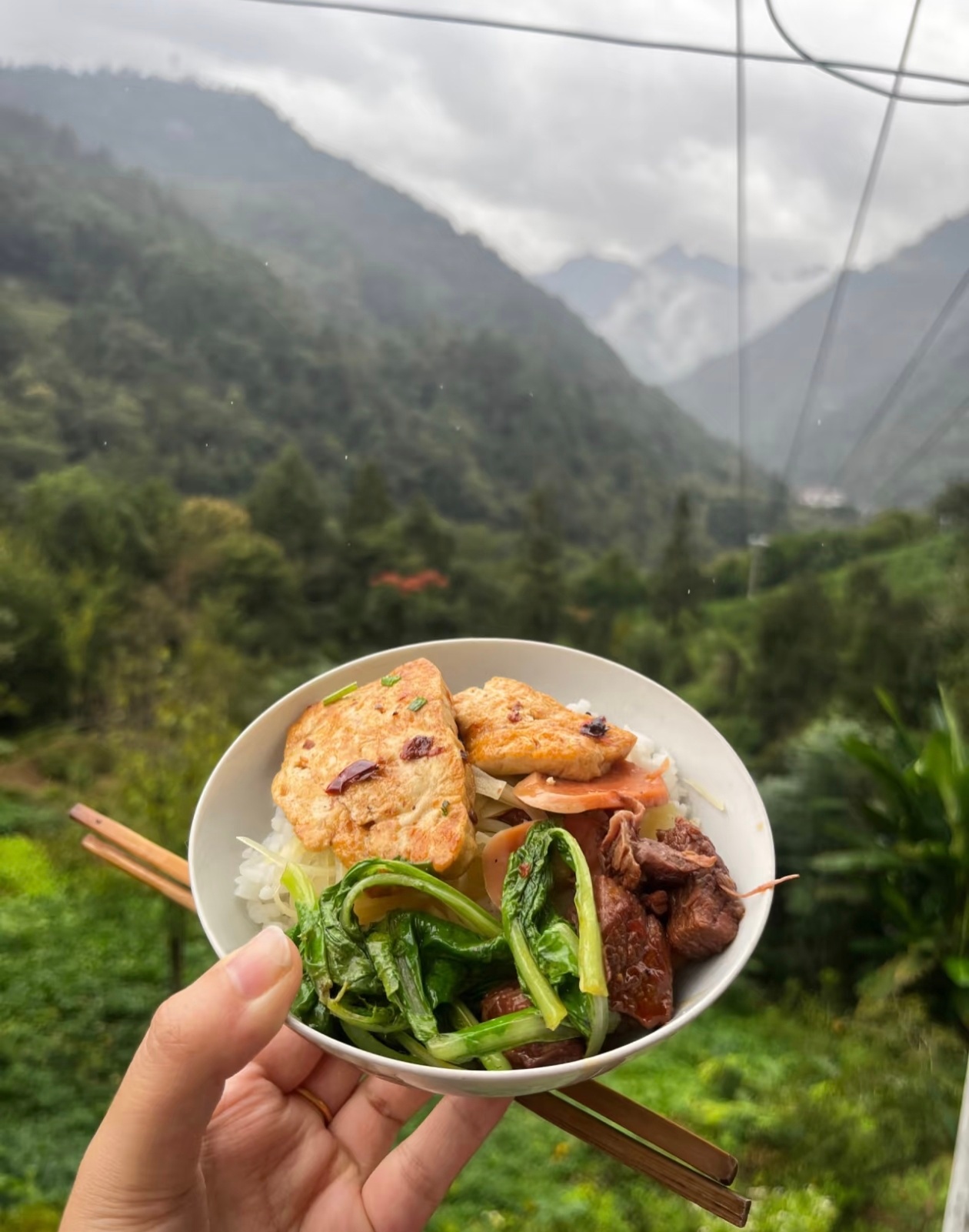 煎豆腐外酥里嫩，吸满了酱汁的咸香，辣丝丝的特开胃，青菜煮得脆嫩，嚼着清清爽爽，解