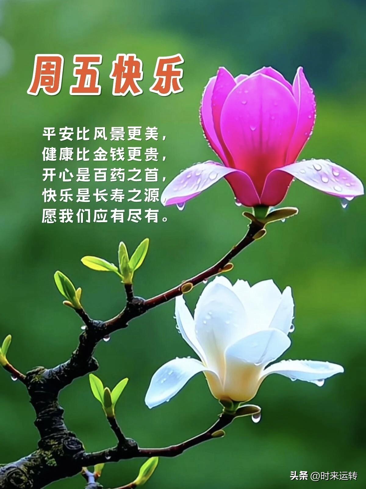 3.27福彩3D
组六:153 257 369 482 504 
       