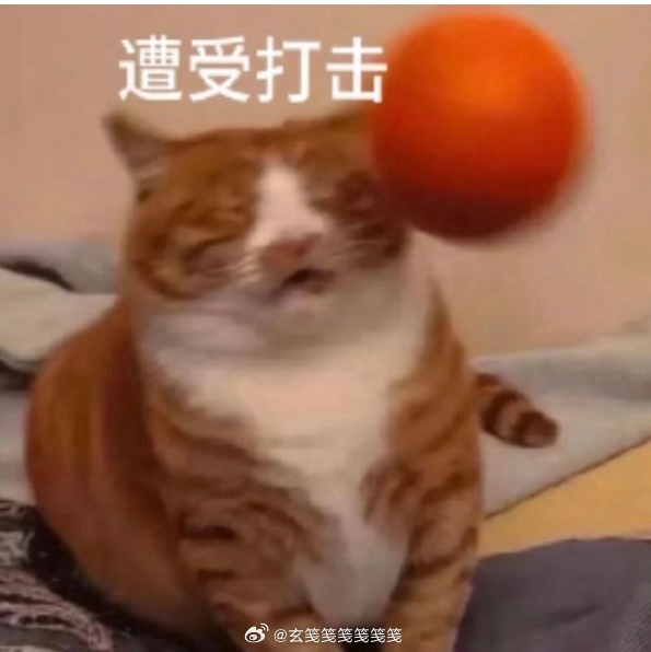 前两天刮台风，风大雨大，早上出门有积水。石夫人开车去上班，半个小时的路程开了一个
