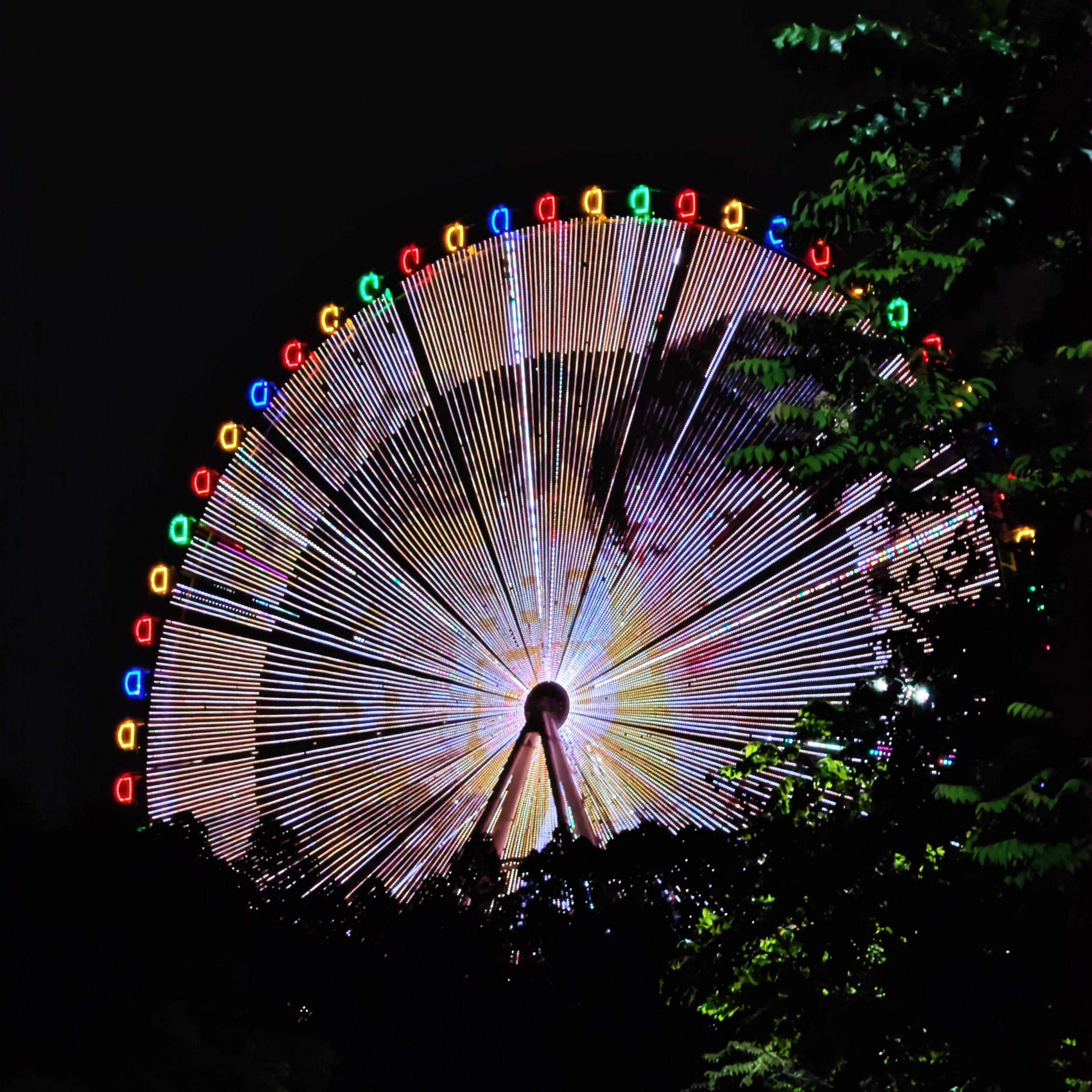 哇喔🎡 ​​​