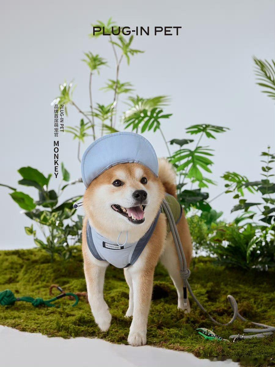 monkey酱，一定记住，卡码拍大！！是不是你的老父亲低估了你的尺码，哈哈哈PL