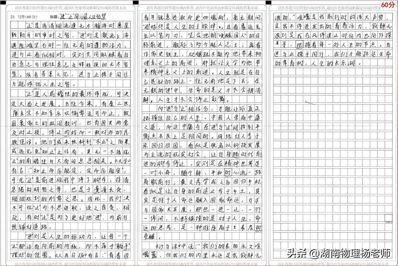 2025一模考场满分作文丨“进”“止”同行显人生智慧
            作