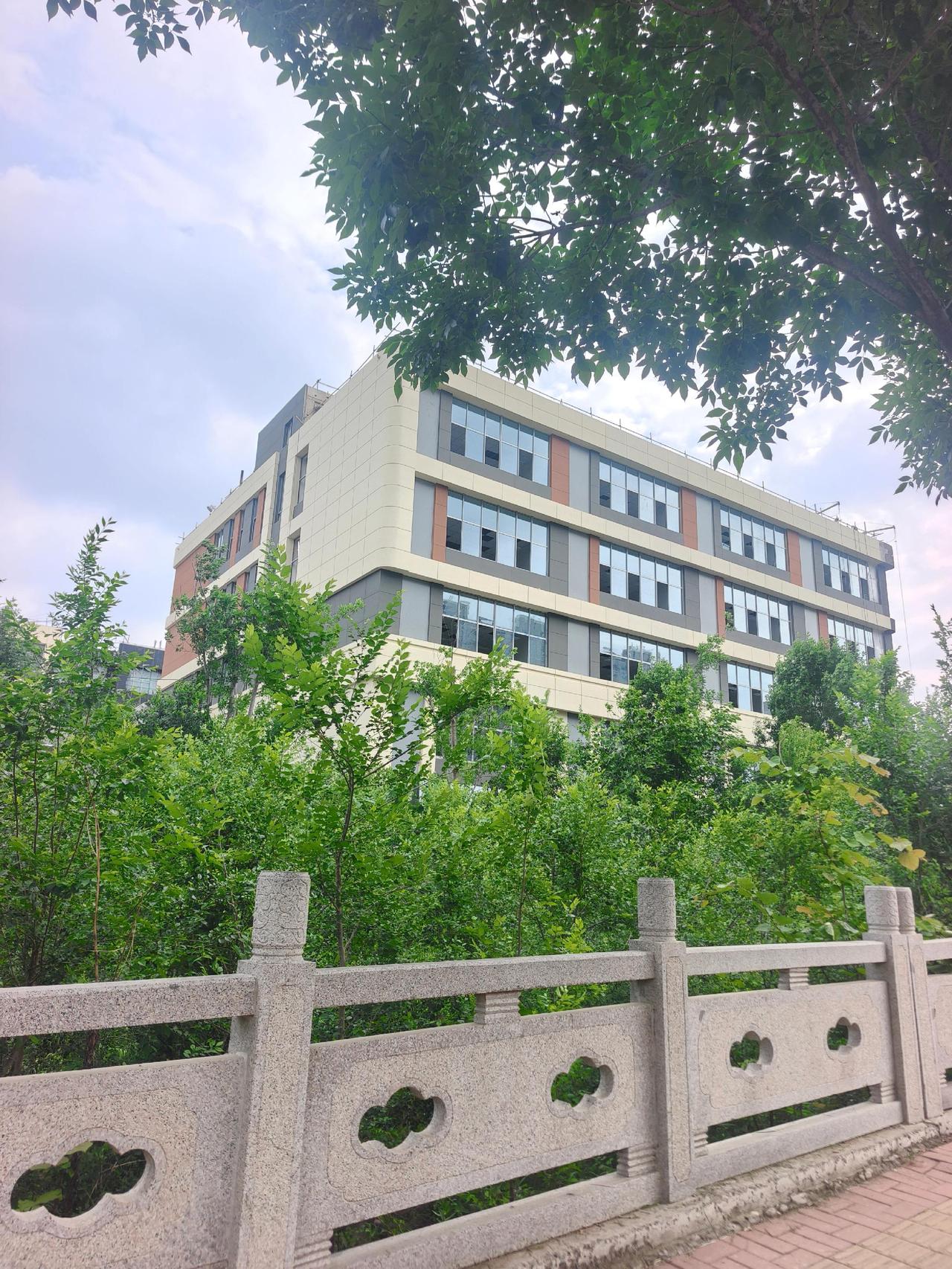 崇璟小学对口初中进度！长岭山凤山路以东公立初中进度，这所学校关注度很高，每天都有