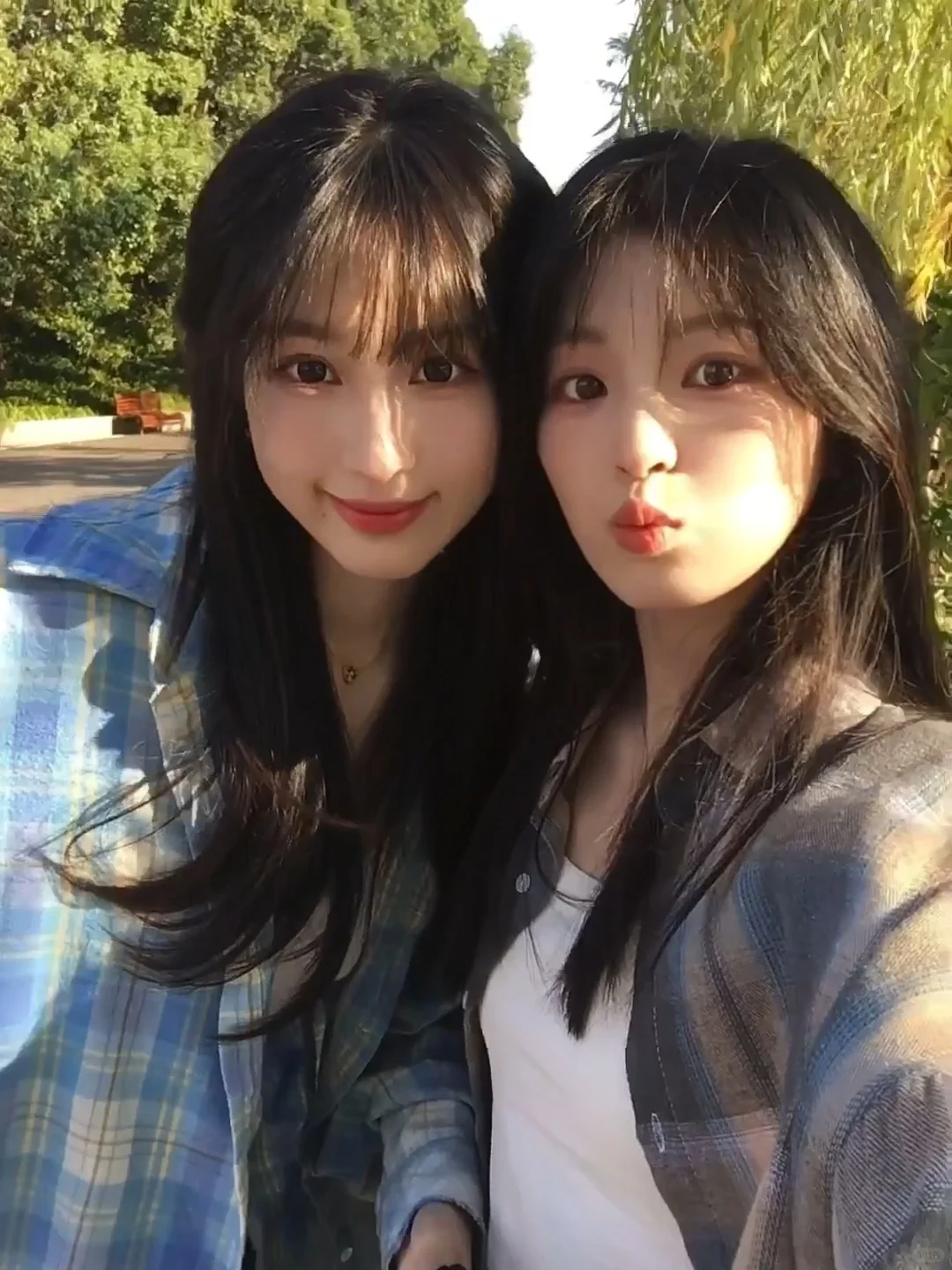 青春的镜头