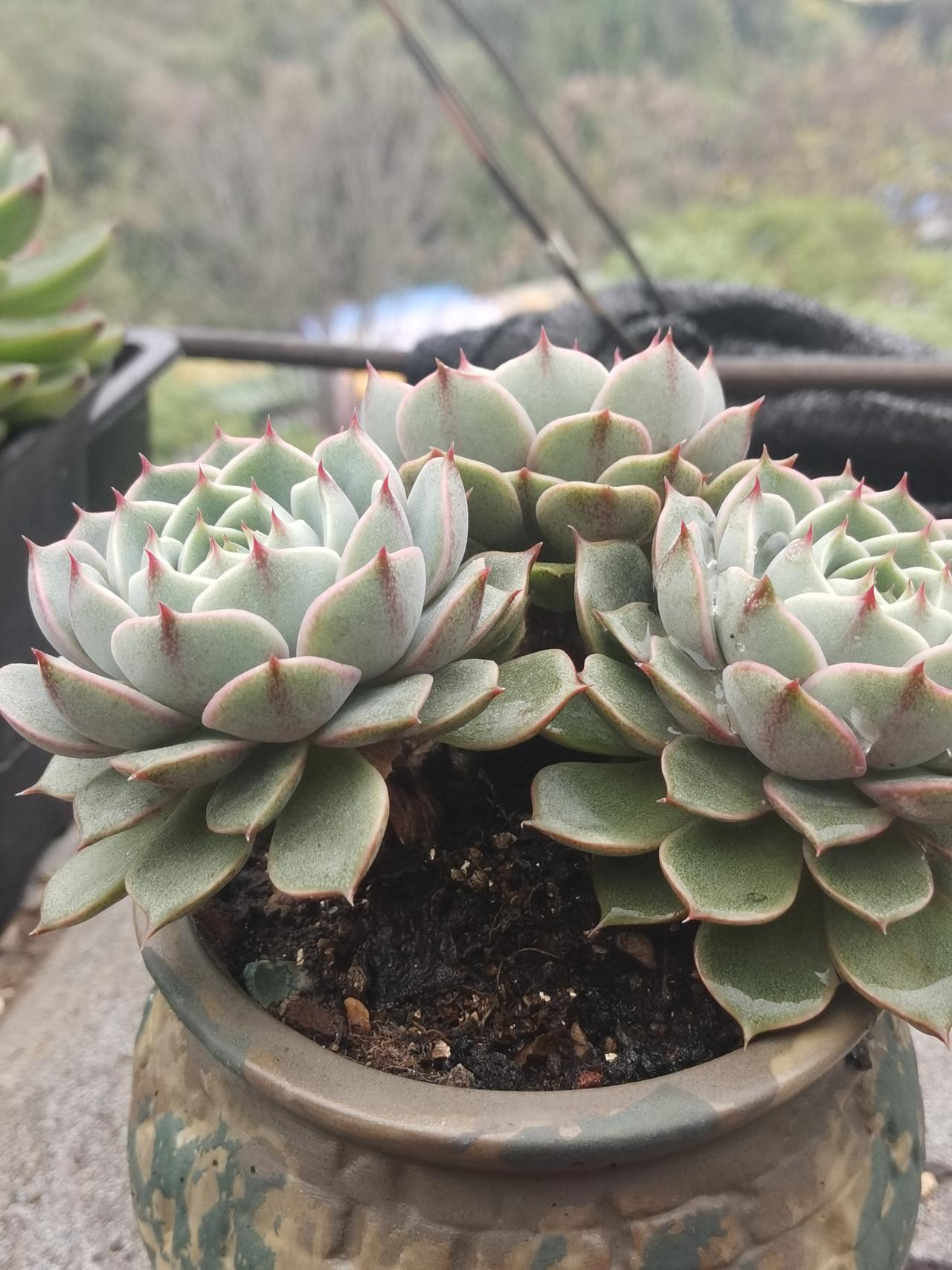 如果你不相信国家在强有力的管理市场，根本不用做股票，你会时刻处于崩盘的情绪中，没