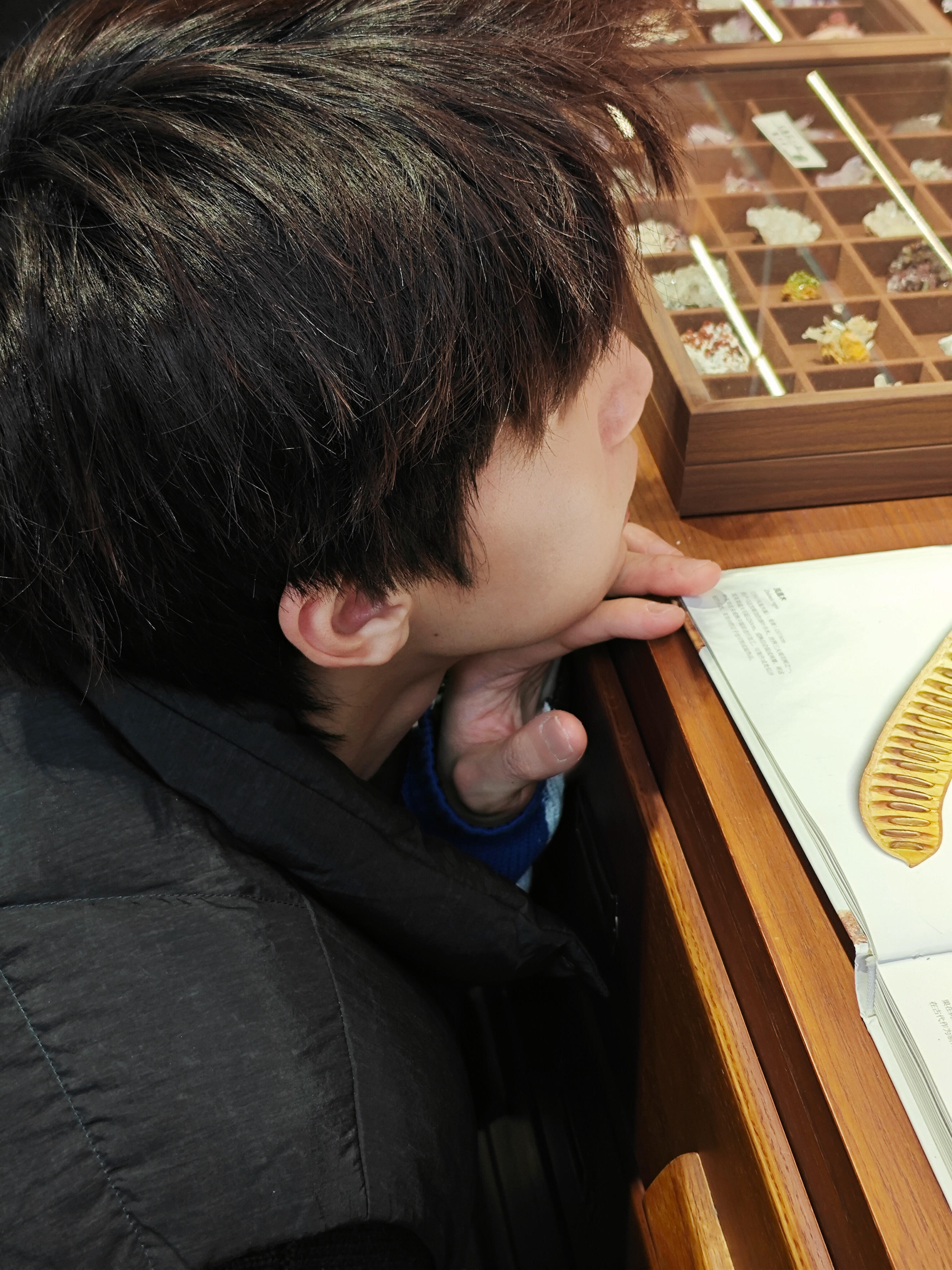 东申未来任宥纶官宣加入任宥纶正式加入东申未来，全新篇章，共赴璀璨！期待未来更多精