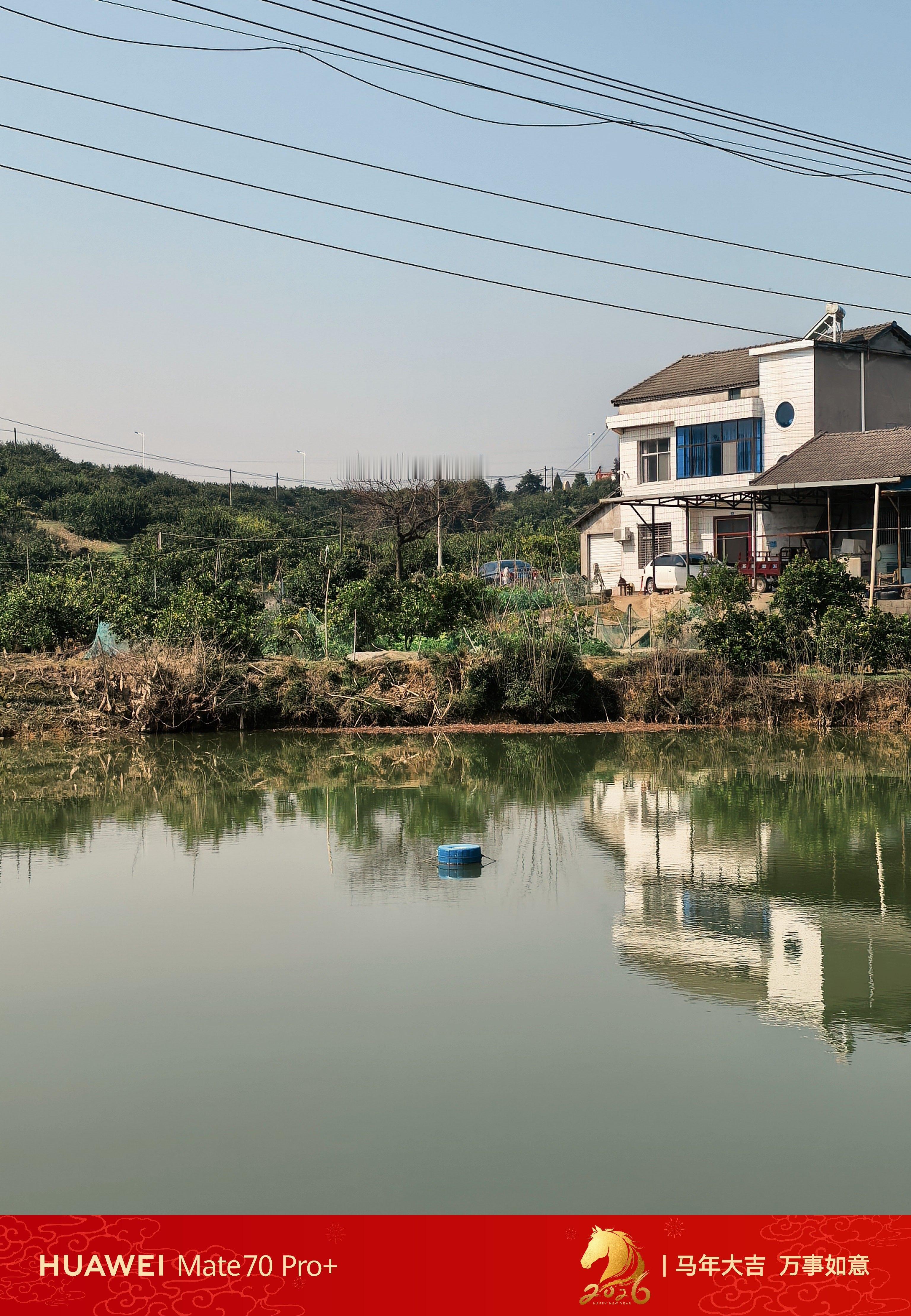 果园一景～今天17度非常巴适～ 