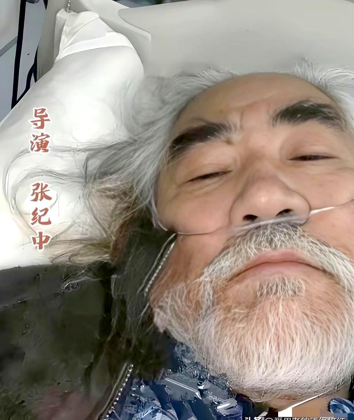 网友们十分心疼张纪中。

张导一定要振作起来，坚决和恶搞你的人斗争到底！

这几