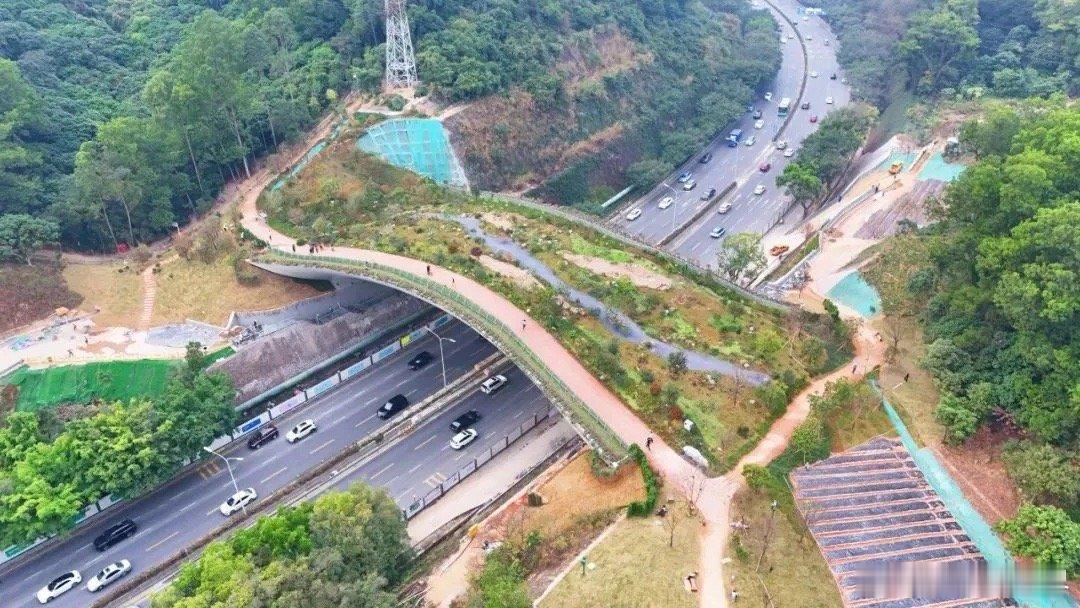 深圳是真有钱啊！下图这座“生态廊桥”绝对是世界第一，该桥名叫《鲲鹏径一号桥》，是