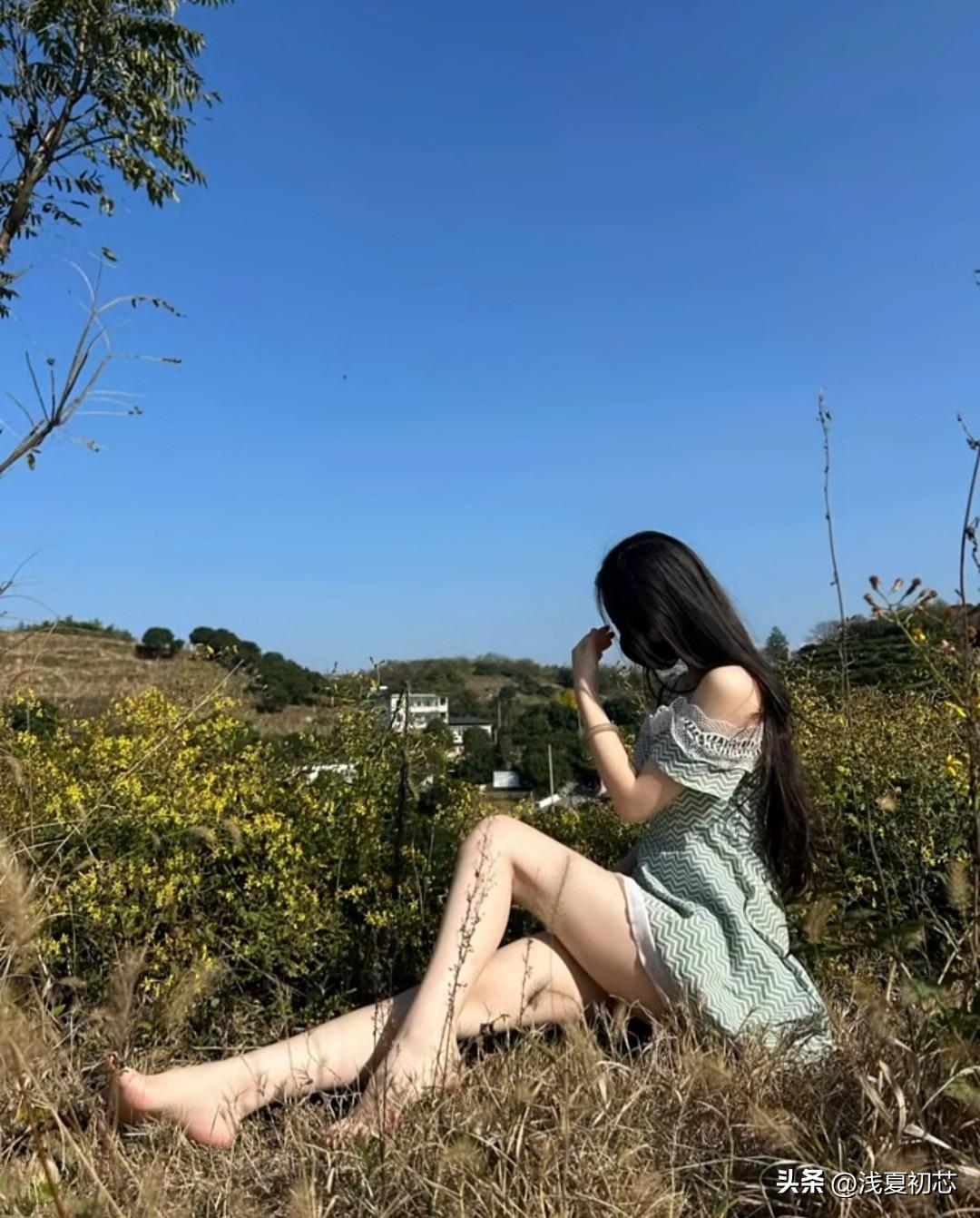 在阳光明媚的田野中，享受自然的宁静与美好。