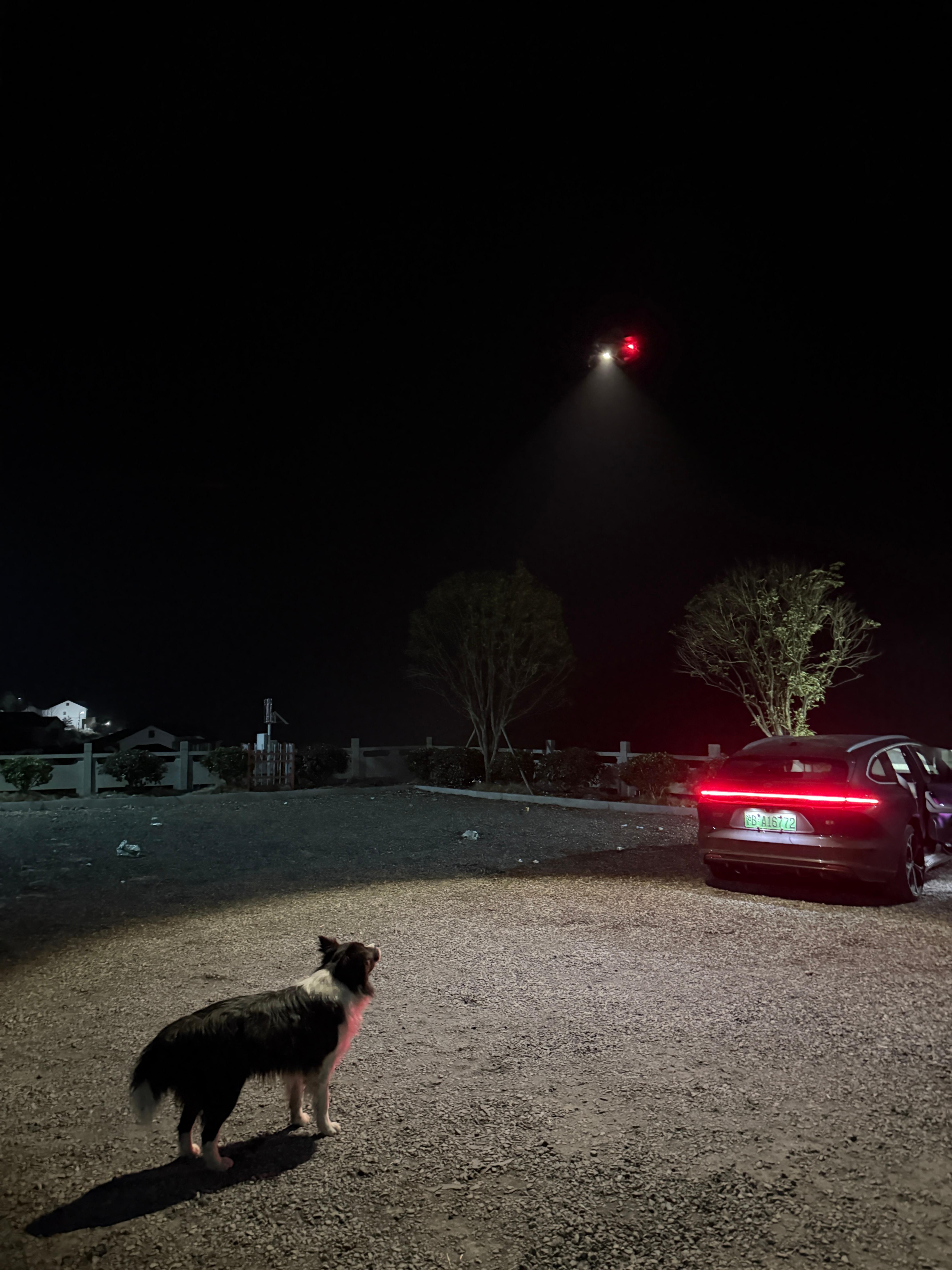 狗狗也是第一次见UFO 🛸呀 