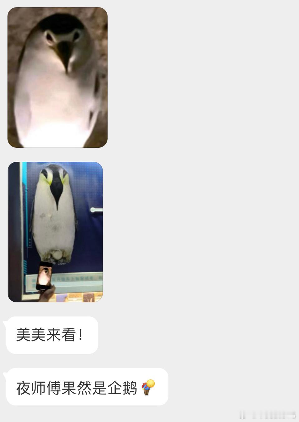 ？？？这种角度我是真妹想到的[哆啦A梦害怕] ​​​