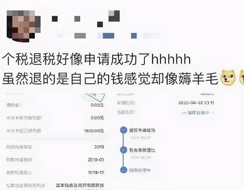 凌晨卡点抢退税！有人狂退3万+，有人倒贴9千：打工人的悲喜，全在这张表里
 
3