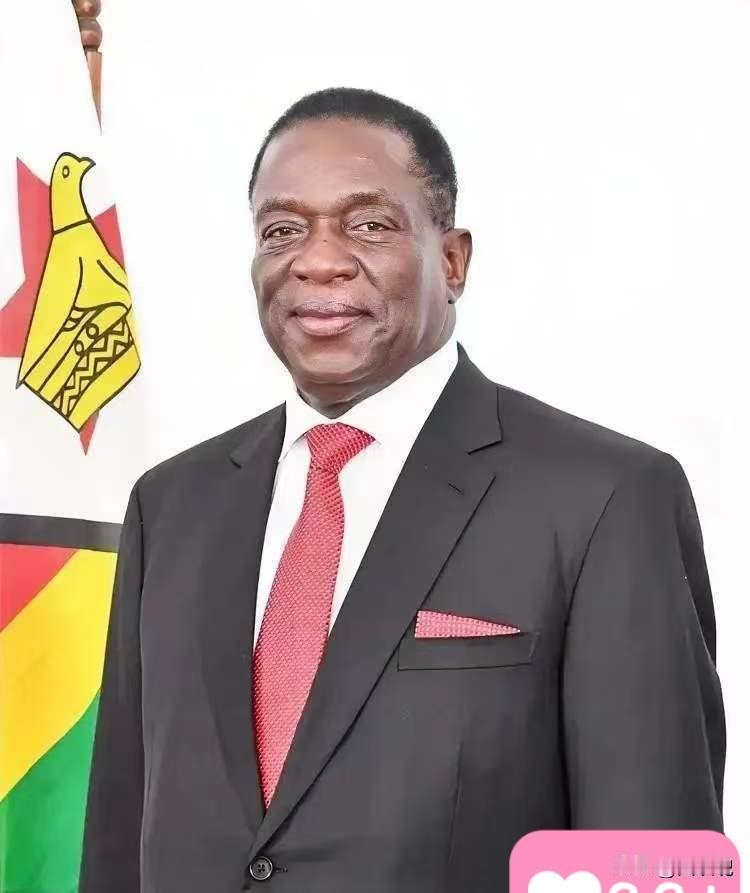 前脚巴拿马不顾中方反对，强行接管了巴拿马港口，后脚津巴布韦突然宣布暂停锂矿出口。