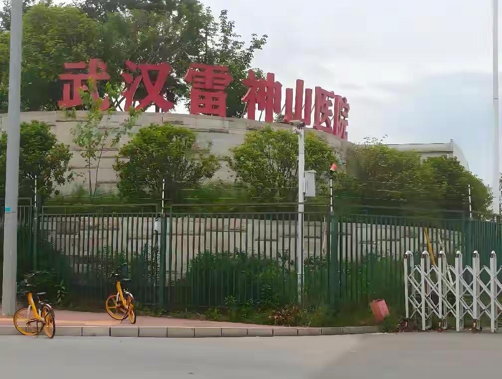 虽然过去了这么多年但当年，创建雷神山医院的精神仍然让人敬佩。一方有难八方支援，向