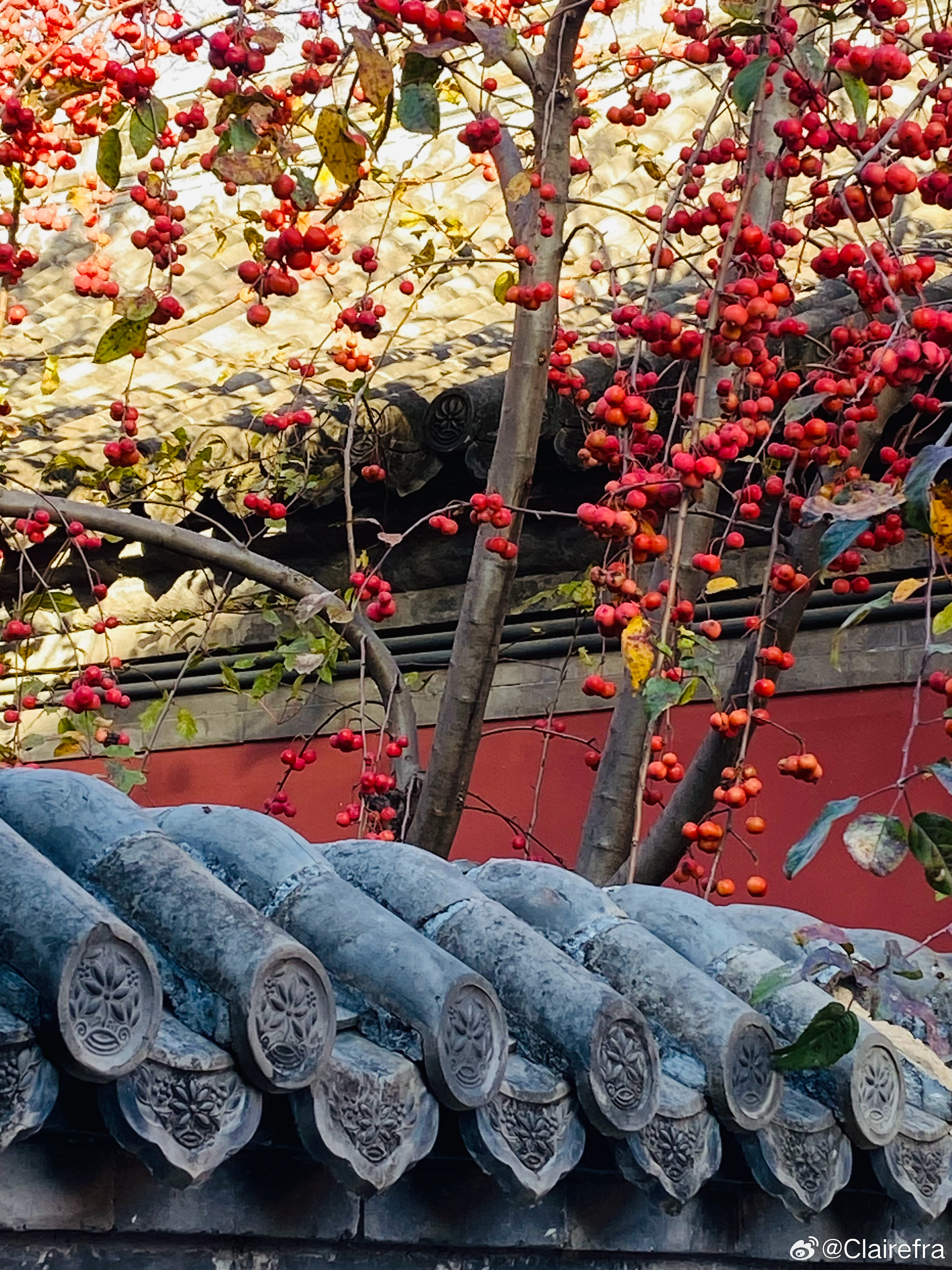 愿倪安好[超话]随手拍 承恩寺，始建于明正德年间（1506-1521年），占地约