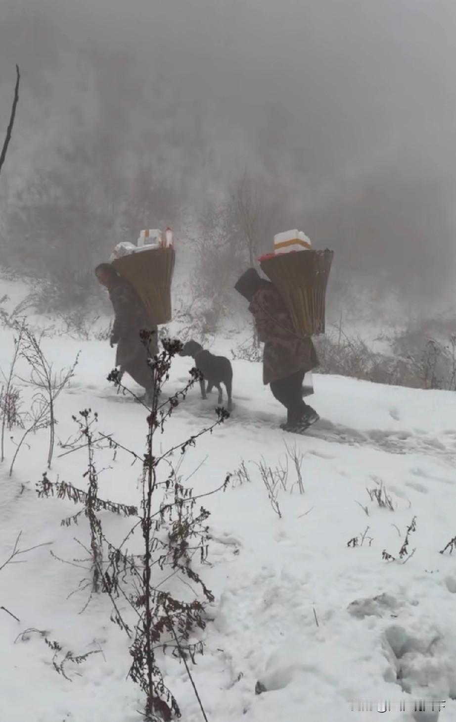 湖北省冰天雪地的大山里，电力系统正常供应，真的让人感动
刷到一个湖北博主的视频，