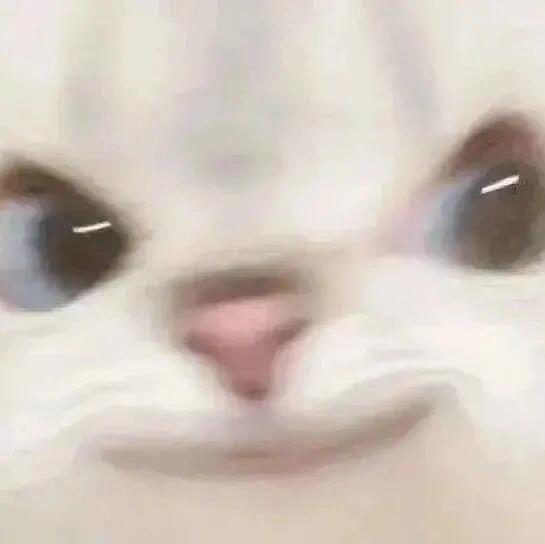 老板要出差到端午节之后