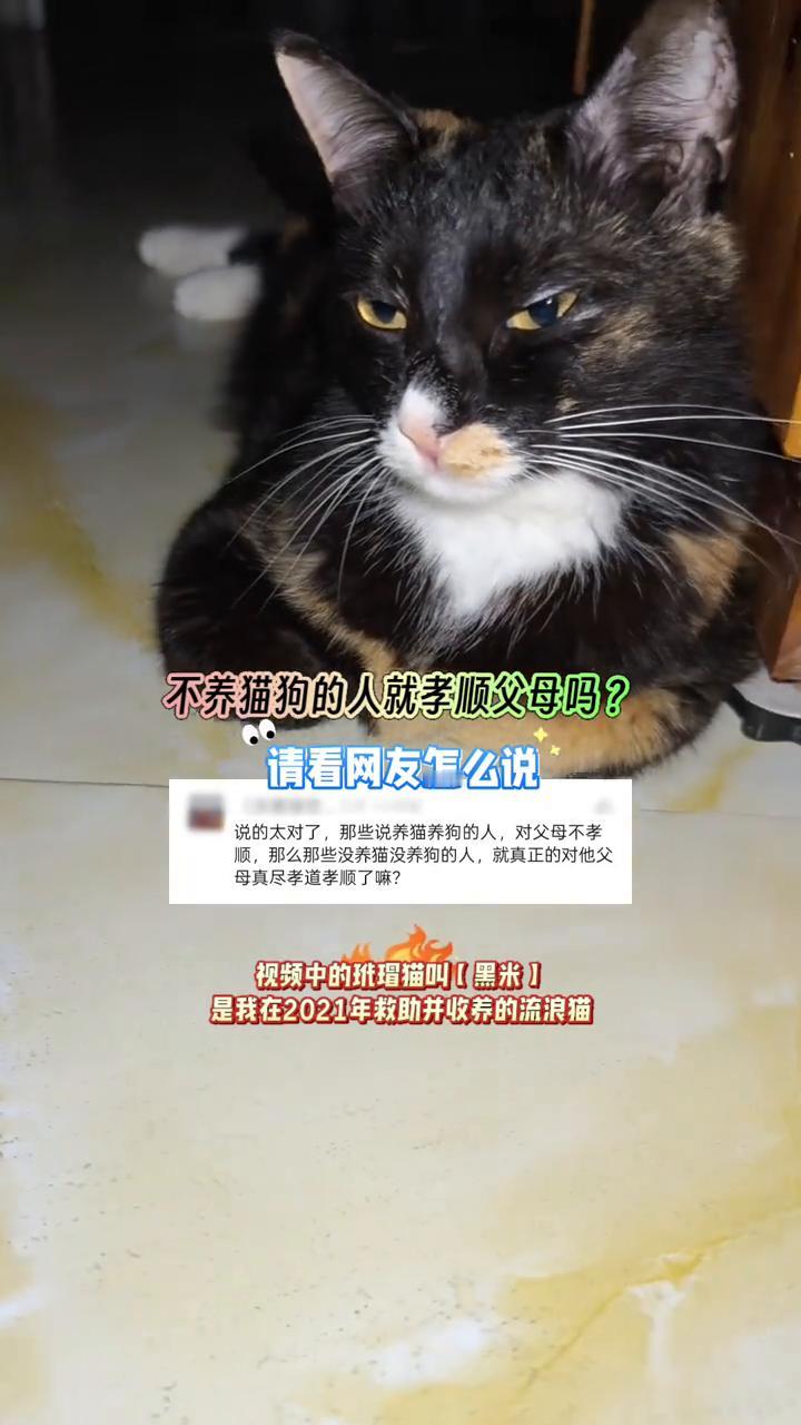 不养猫狗的人就孝顺父母吗？请看网友怎么说。
说的太对了，那些说养猫养狗的人对父母