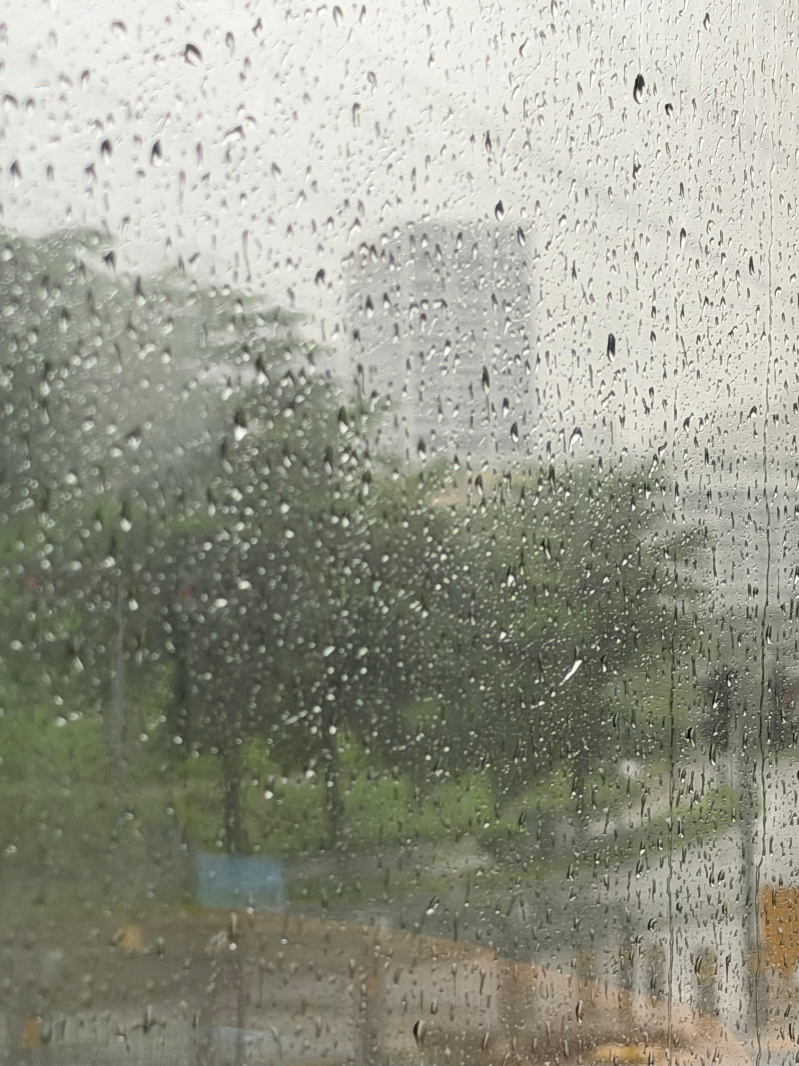 深圳这个雨到底要下到什么时候