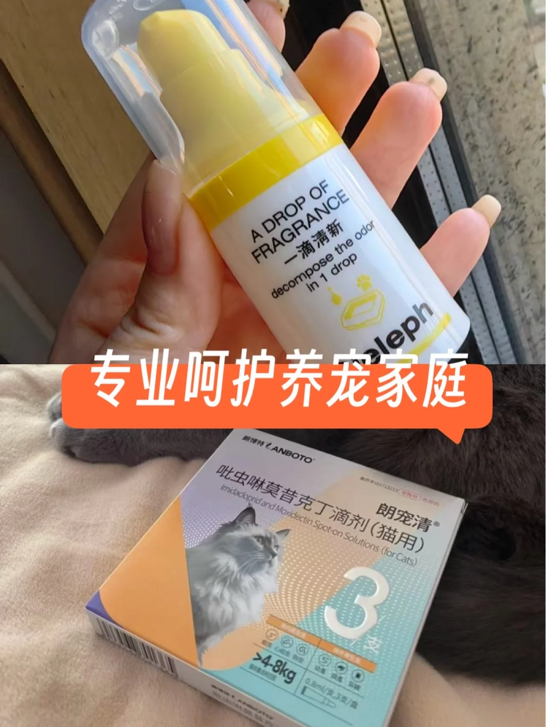 🐱养宠家庭必备好物👍✅