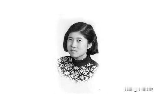 1958年，爱国将领杨虎城的女儿杨拯陆在筹备婚礼期间离奇失踪，几日后，她的尸体出