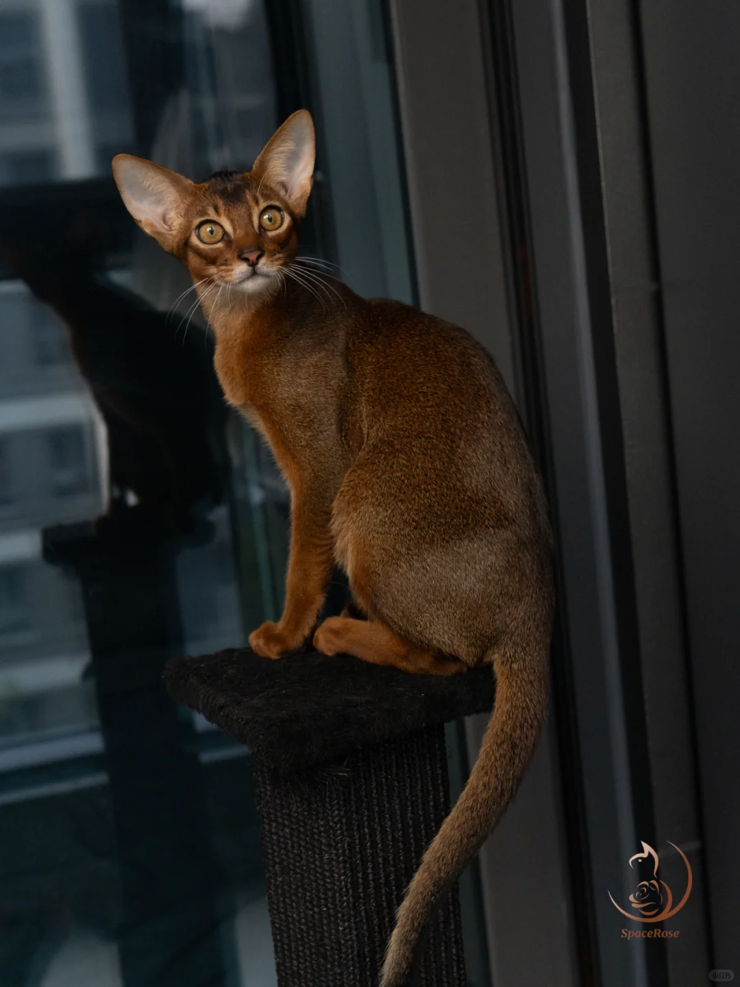 长到我的心趴上的原始色弟弟，快快长大！