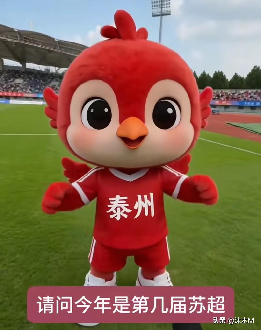 真的是要笑疯了，这届苏超只有泰州承认是第二届，其他十三太保们纷纷表示今年是第一届