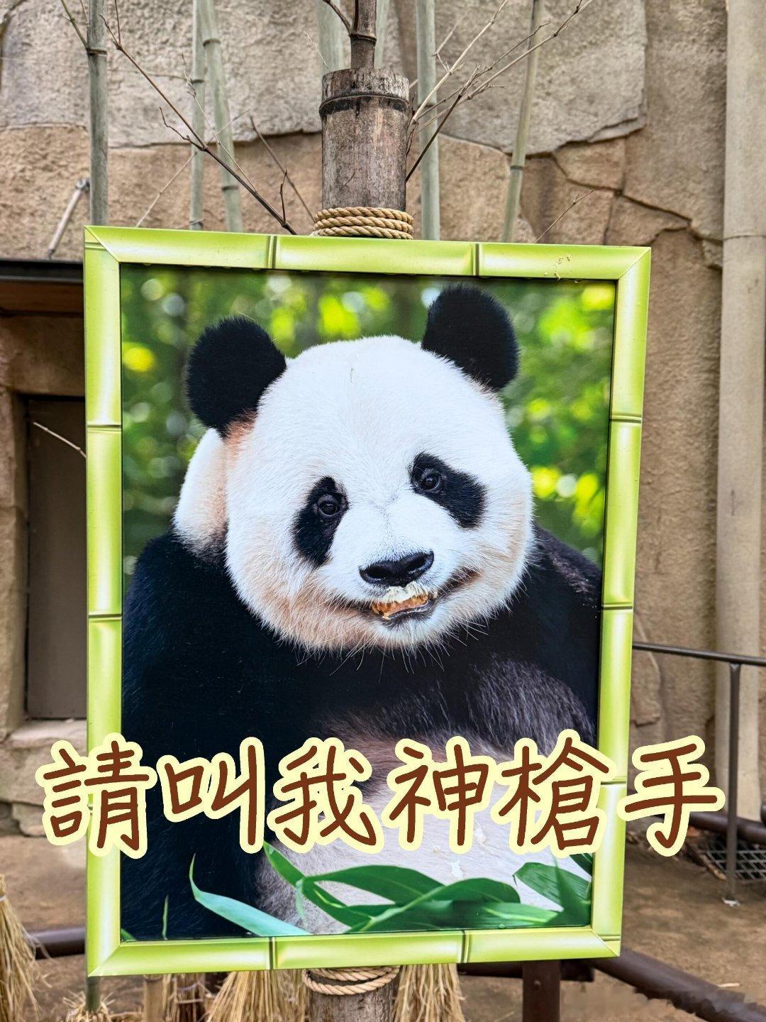 乐宝神枪手能不能把经验总结一下发给星二？？？ 