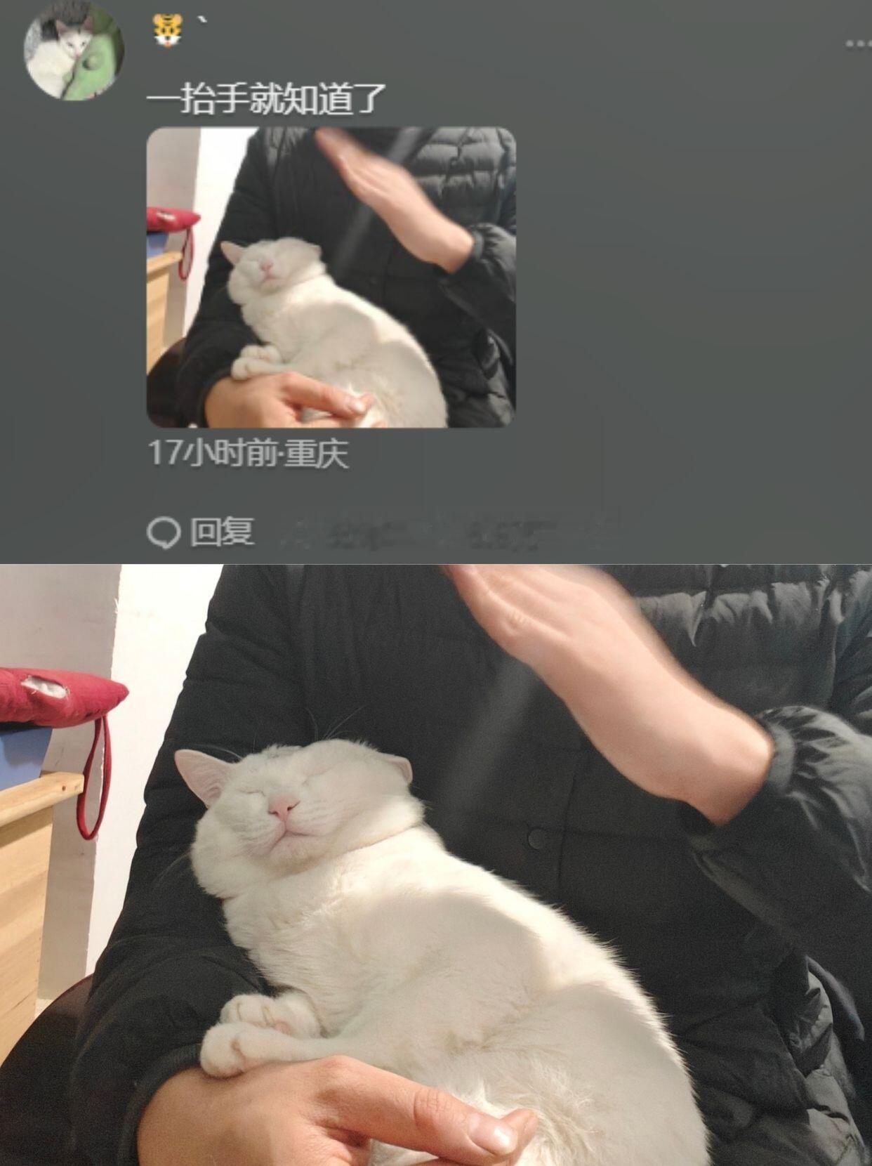 孩子挨没挨过收拾，一抬手就知道了 