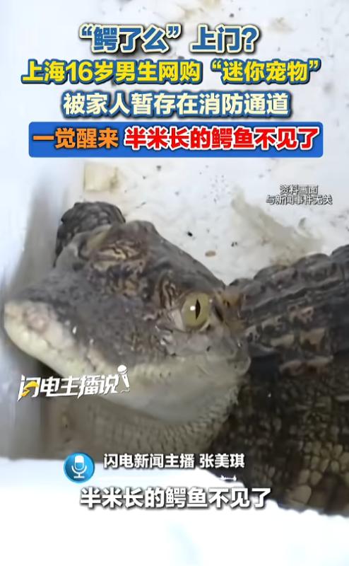 “养宠物一定要谨慎！”近日据媒体报道，上海，一16岁男生因猎奇心理，在网上买了一