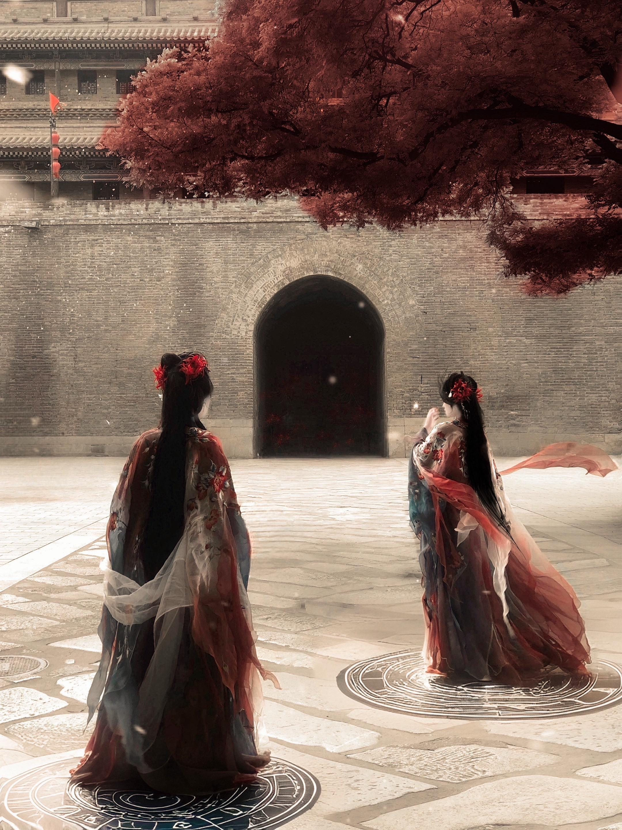 “传说有一种花叫做双生花，一株二艳，并蒂双花” 汉服闺蜜 异志录