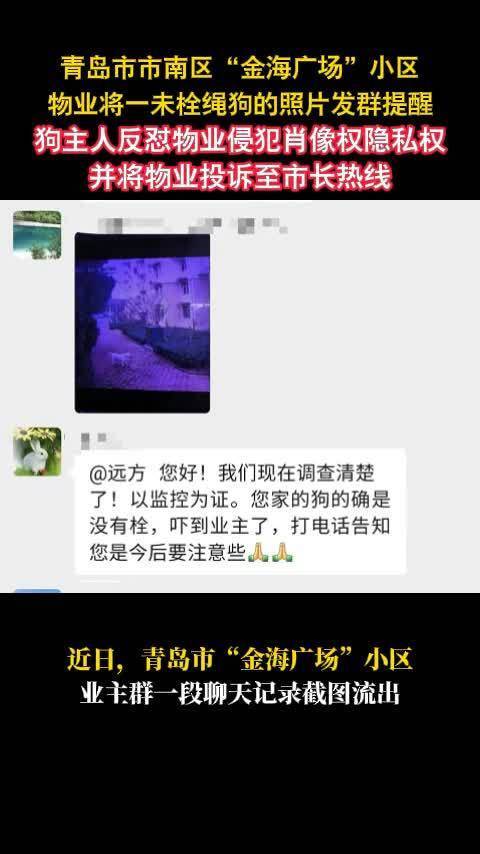 #物业发未栓绳狗照片狗主怒怼侵犯隐私#这事城管先来一波，狗有证吗？市区让养嘛？不