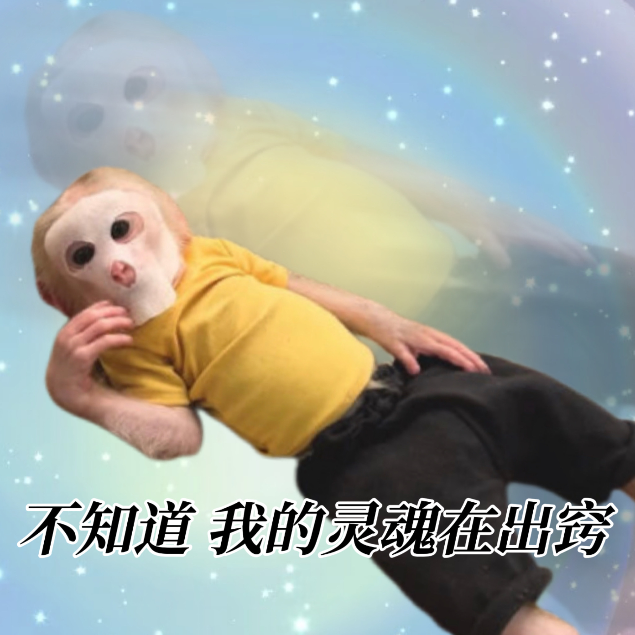 答非所问算是被玩明白了