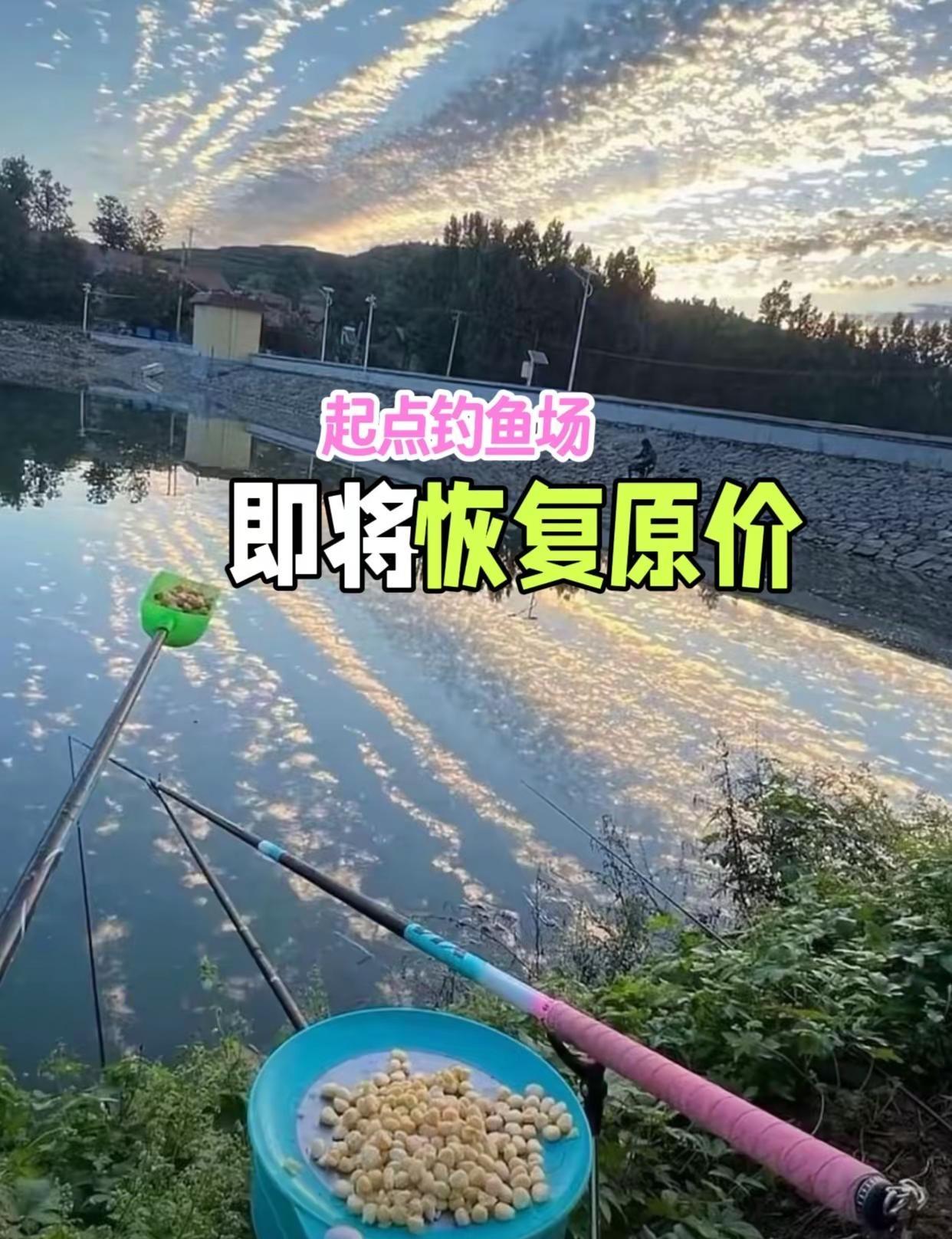 起点钓鱼场 起点钓鱼场广州钓鱼池 户外钓鱼日常 抛竿入水静候